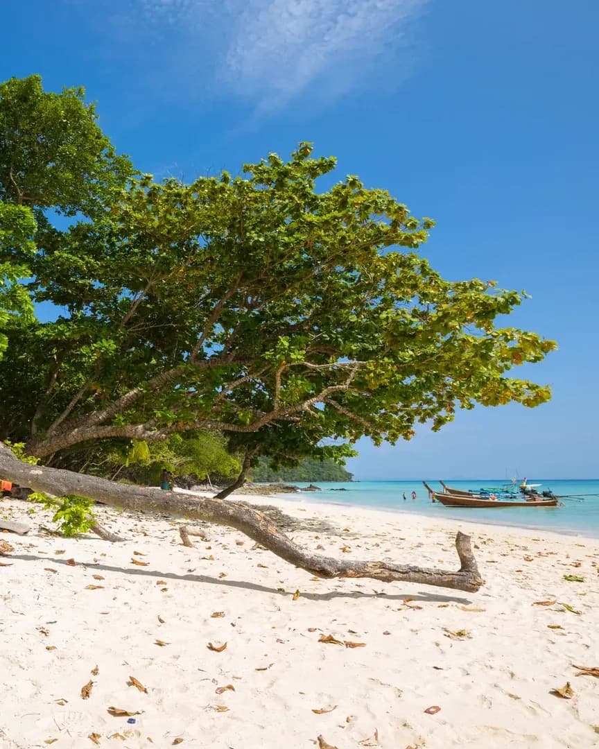 Andaman