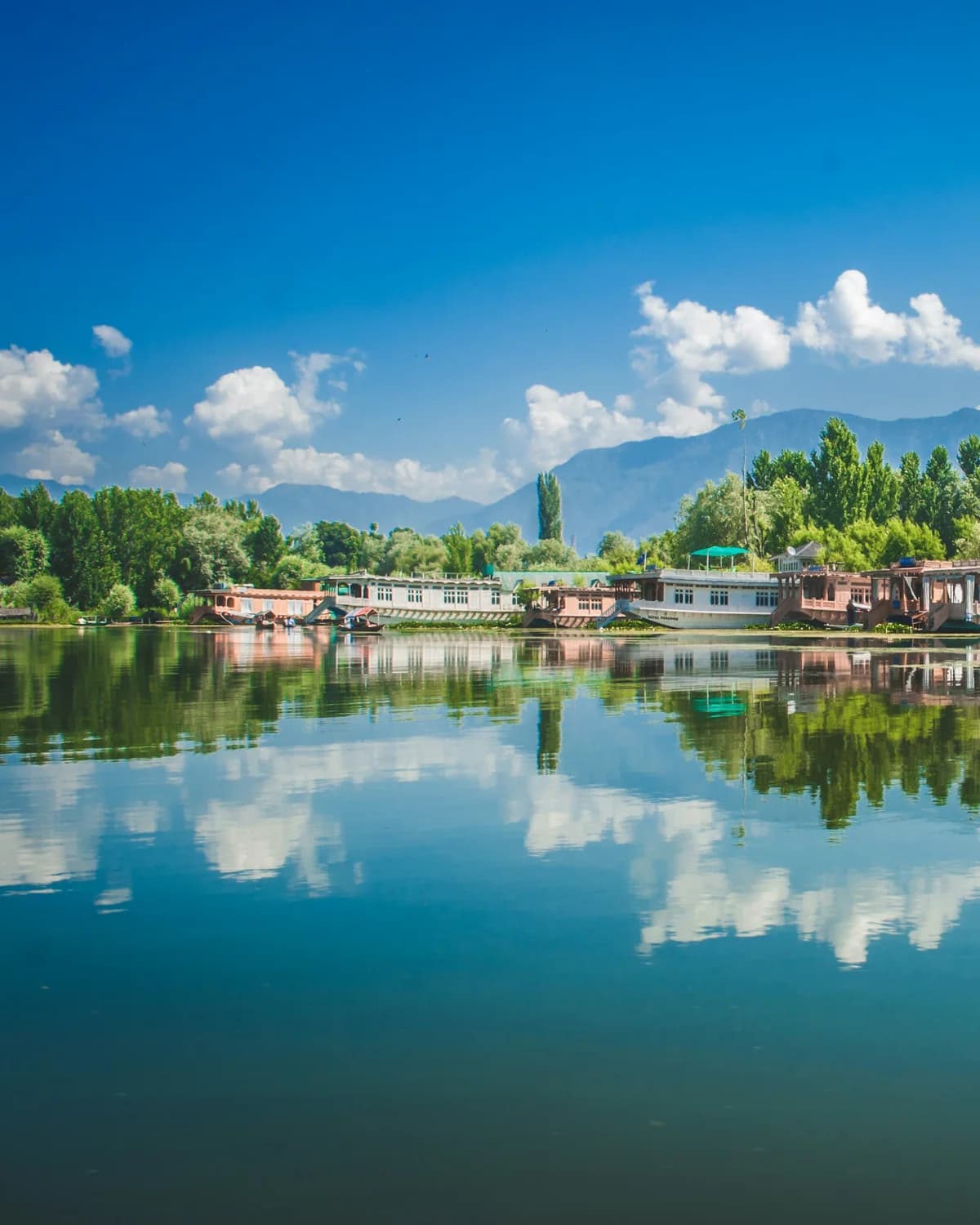 Kashmir