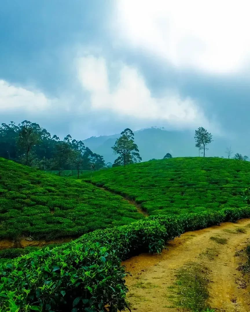 Meghalaya