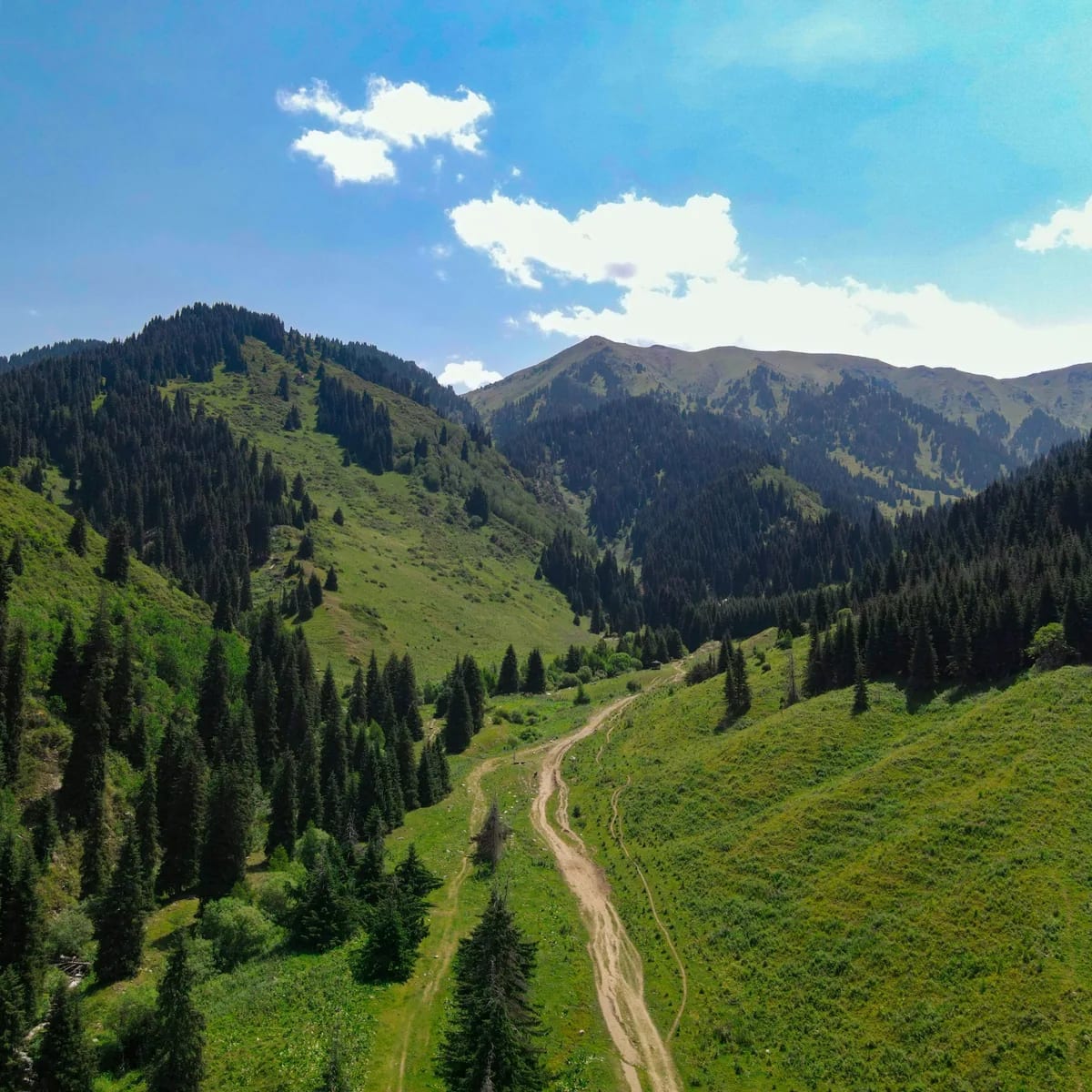 A lush green valley with mountains and a road, Almaty