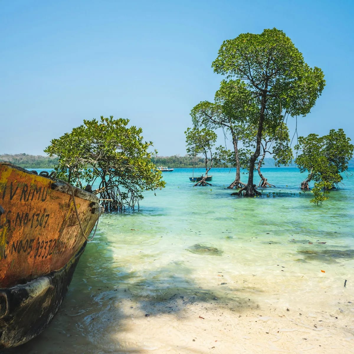Brown boat on beach during daytime, Andaman