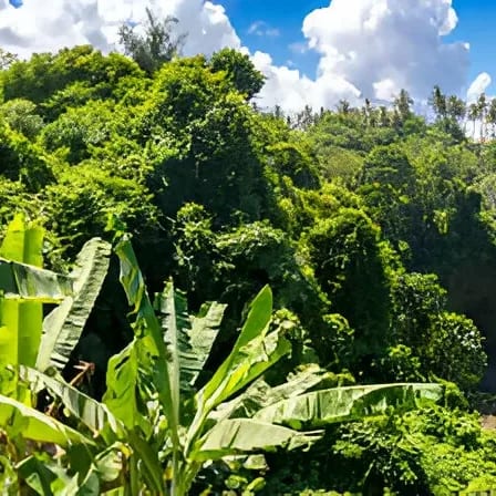 Tegenungan waterfall, Bali