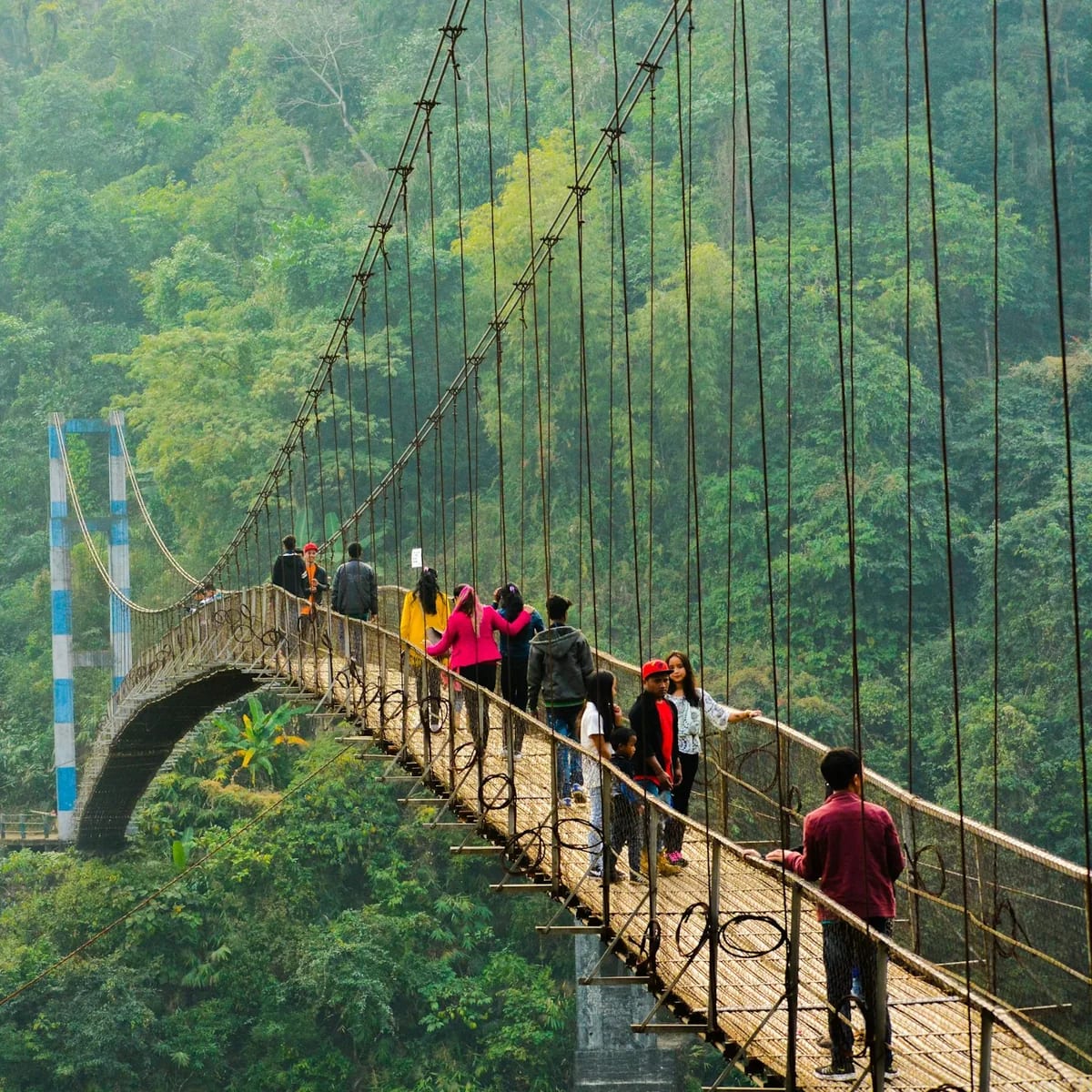 People walking on hanging bridge during daytime, Meghalaya