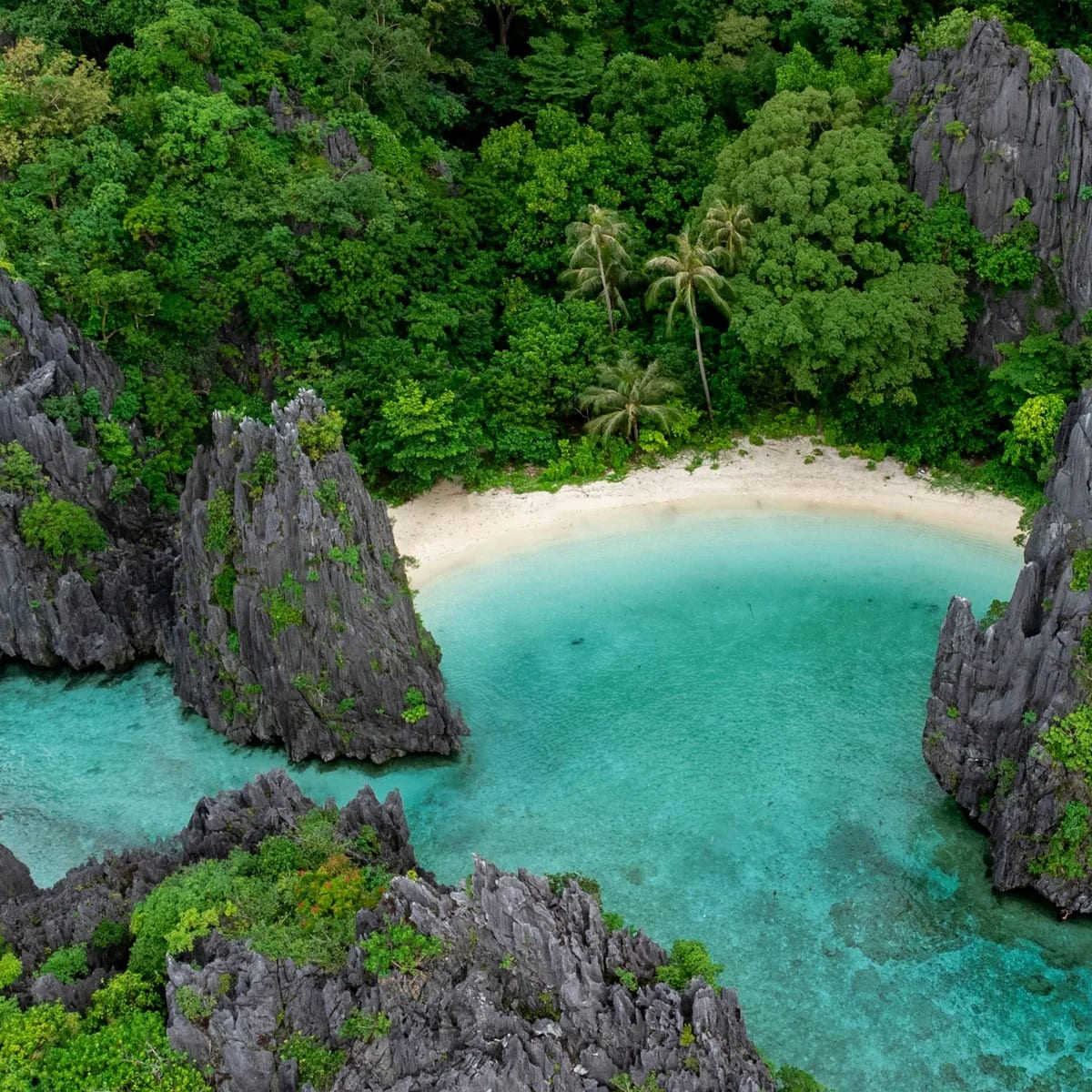 An aerial view of a beach surrounded by trees, Philippines