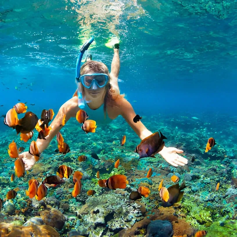Snorkelling off Coral Island, Bangkok & Pattaya