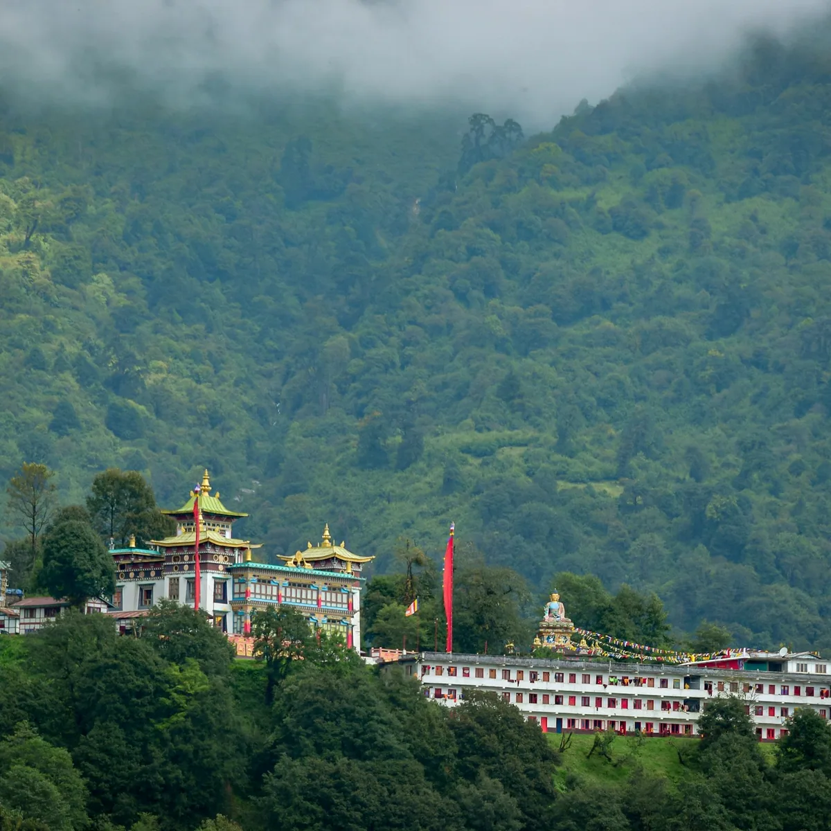 A large building on top of a lush green hillside, Dharamshala