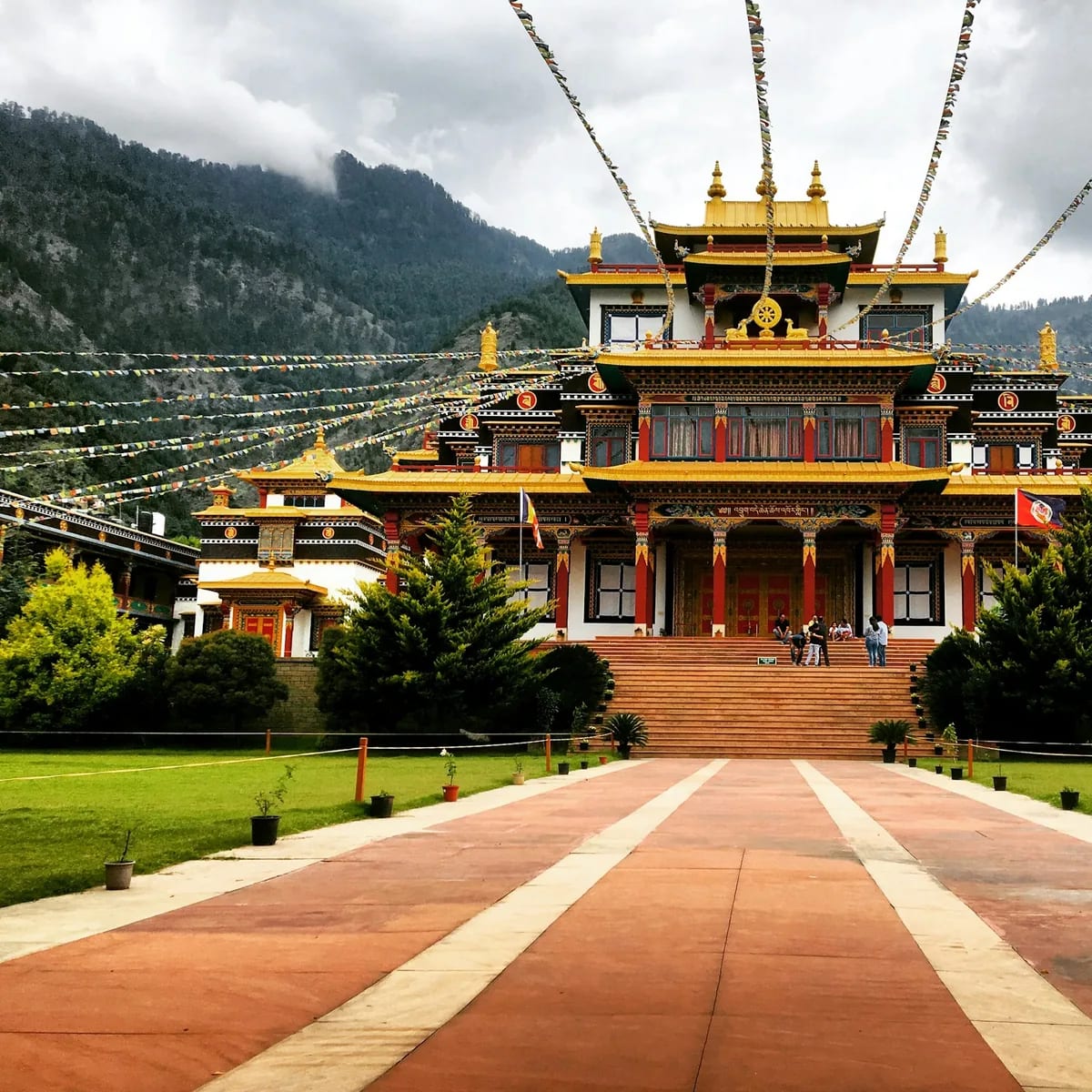 Yellow and white concrete building, Dharamshala