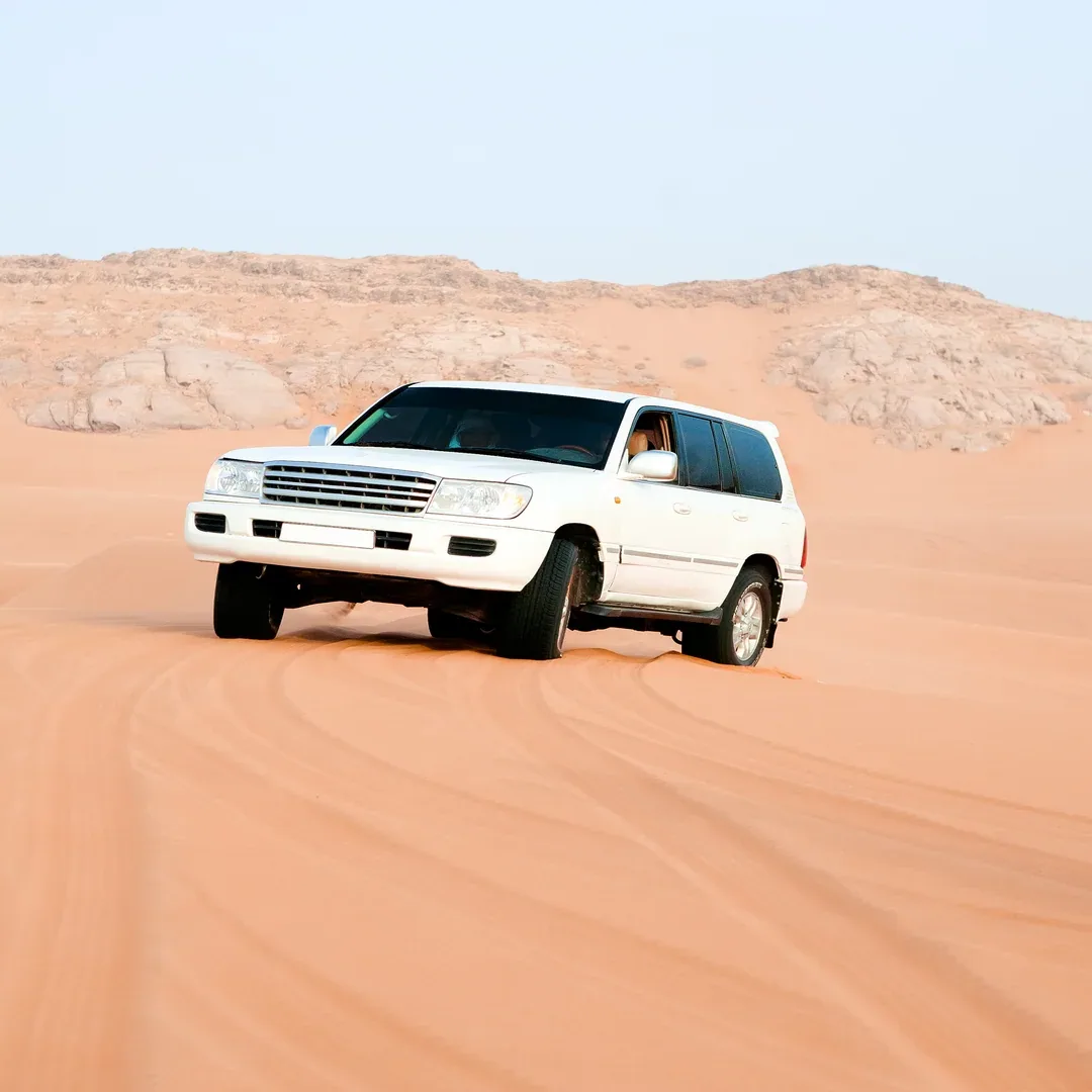 Dune safari in the desert, Dubai