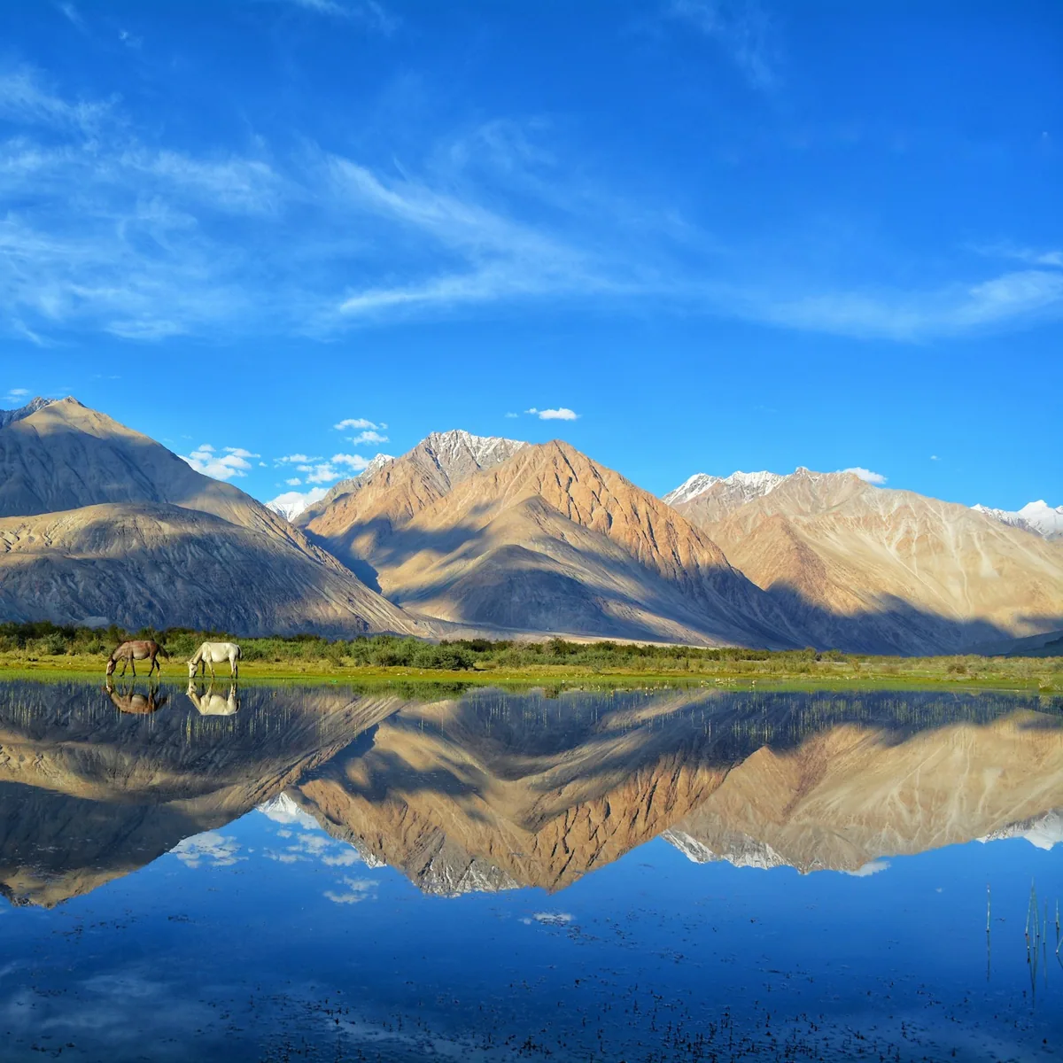 Green and brown mountains beside lake under blue sky during…, Ladakh
