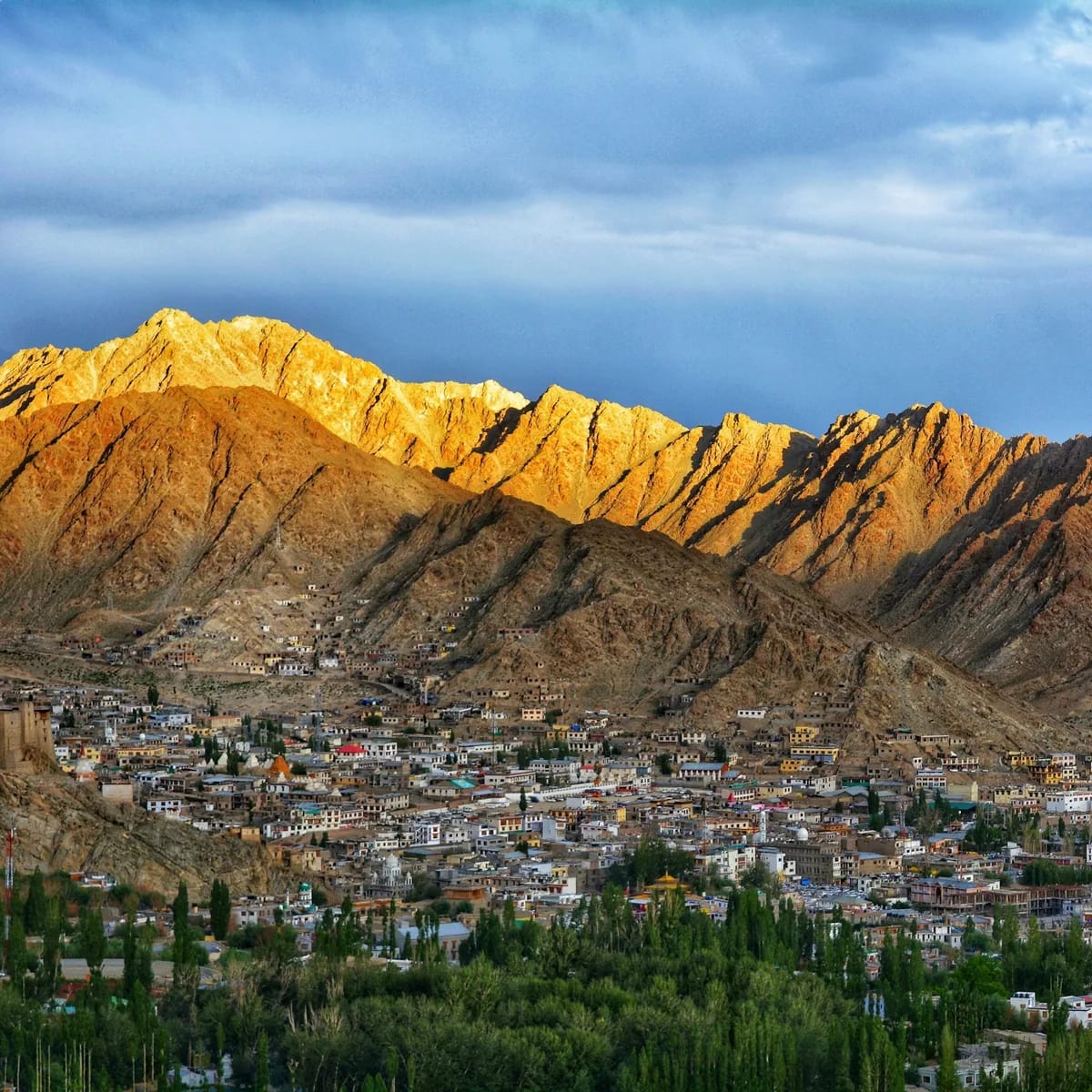 Green trees near brown mountain under white clouds during d…, Ladakh