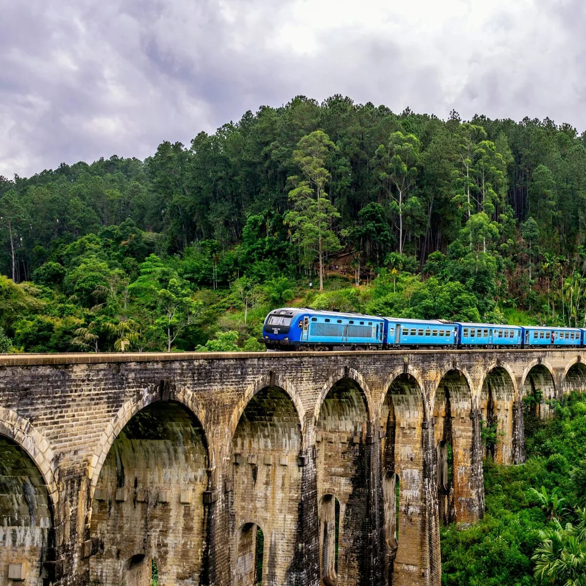 Blue train surrounded by trees, Sri Lanka