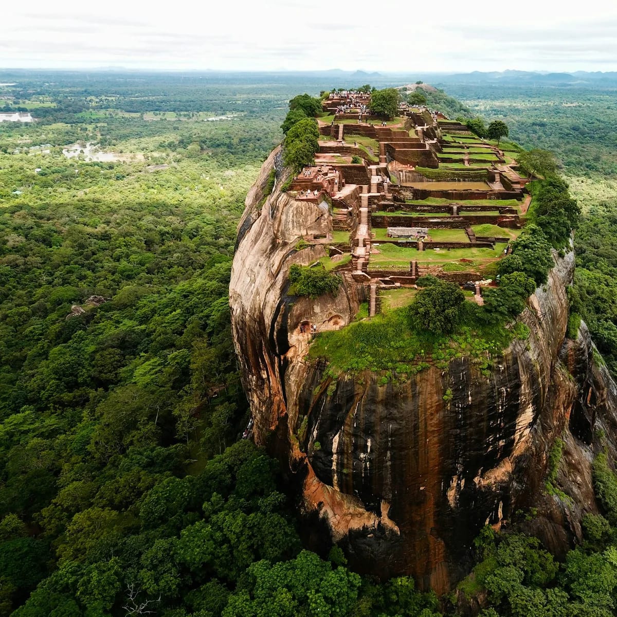 Brown rock formation on green grass field during daytime, Sri Lanka