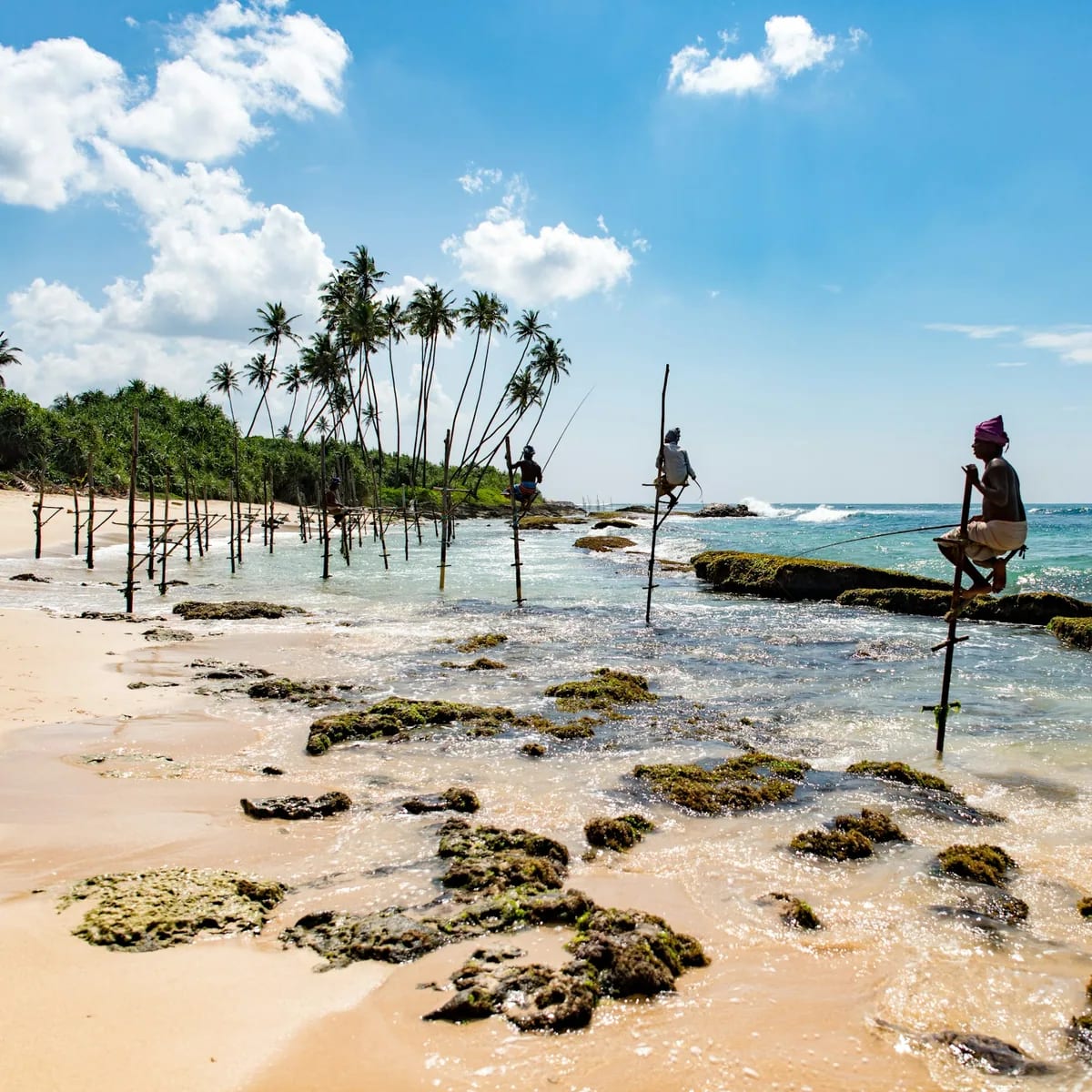 Group of people climbing on stand beside seashore, Sri Lanka
