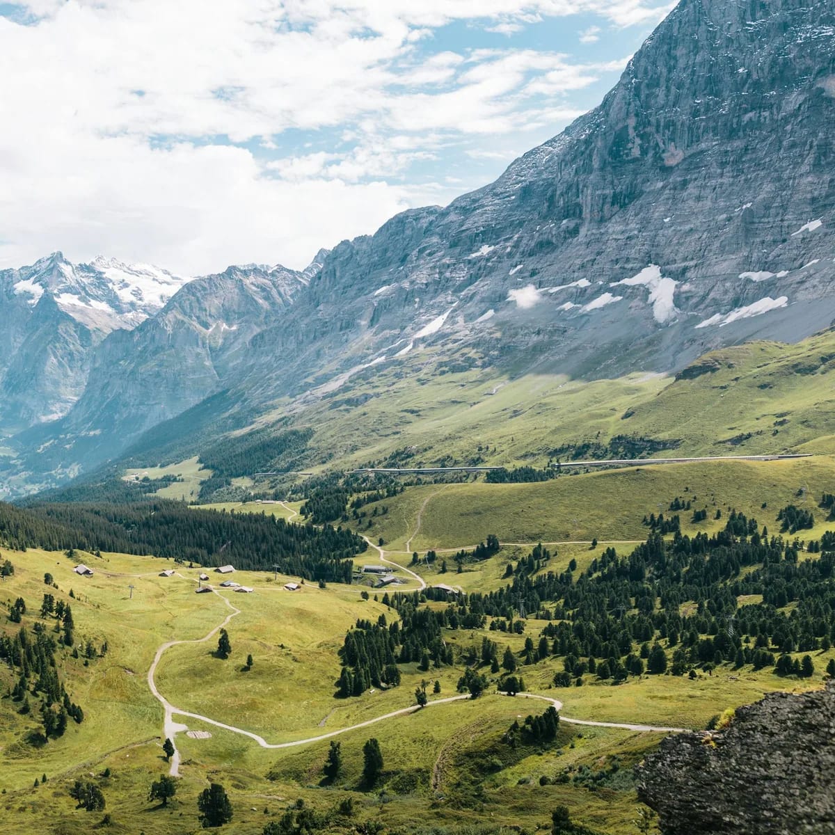Mountain filled with trees during daytime, Switzerland